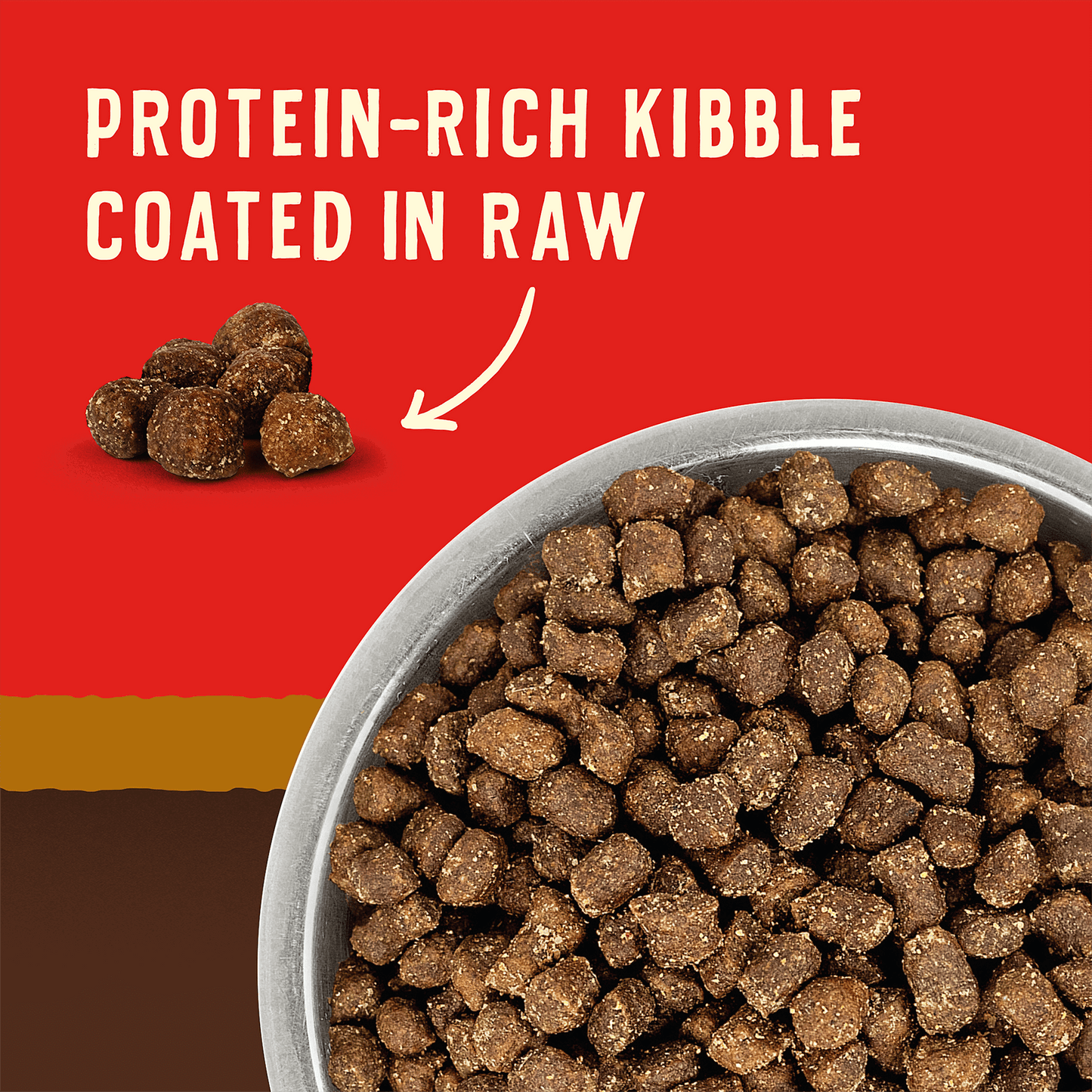 PROTEIN-RICH KIBBLE | COATED IN RAW