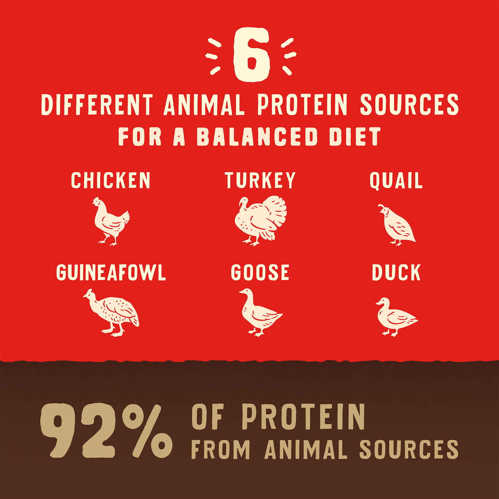 6 | DIFFERENT ANIMAL PROTEIN SOURCES FOR A BALANCED DIET | CHICKEN | TURKEY | QUAIL | GUINEAFOWL | GOOSE | DUCK | 92% OF PROTEIN FROM ANIMAL SOURCES