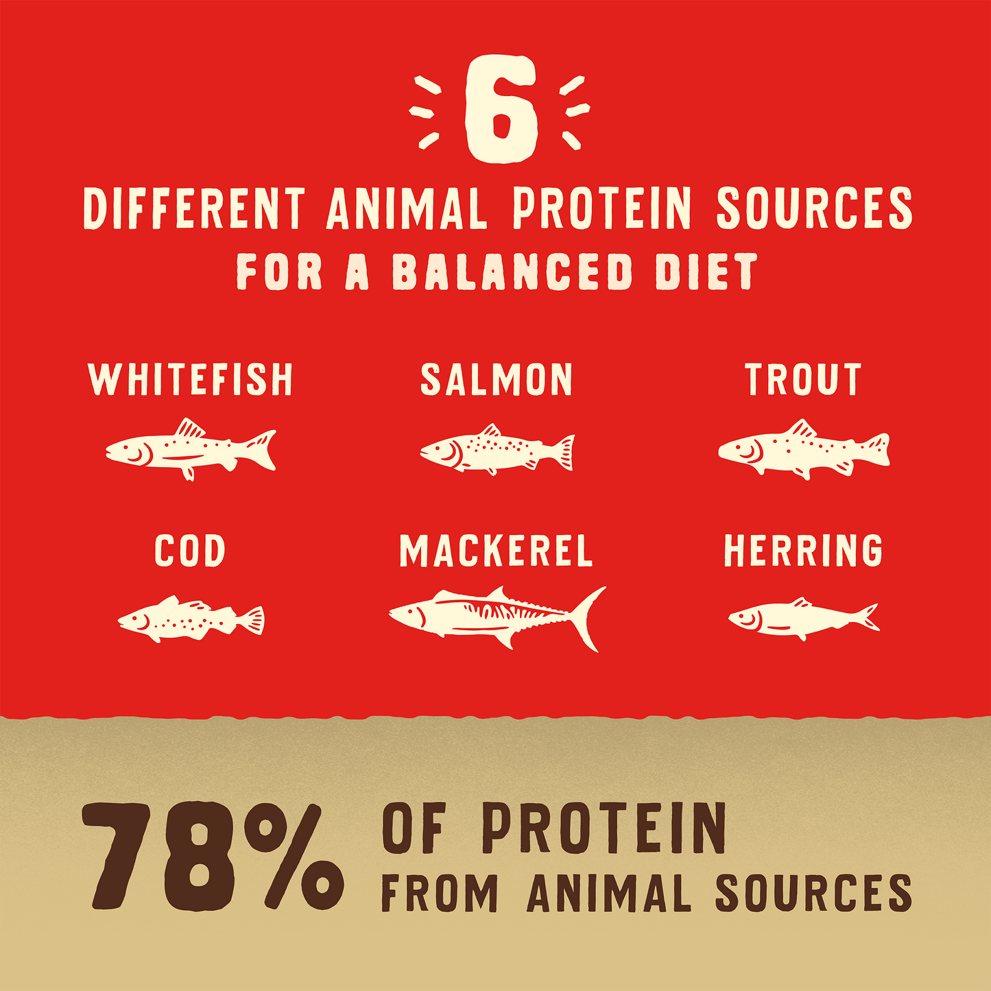 6 DIFFERENT ANIMAL PROTEIN SOURCES FOR A BALANCED DIET | WHITEFISH | SALMON | TROUT | COD | MACKEREL | HERRING | 78% OF PROTEIN FROM ANIMAL SOURCES