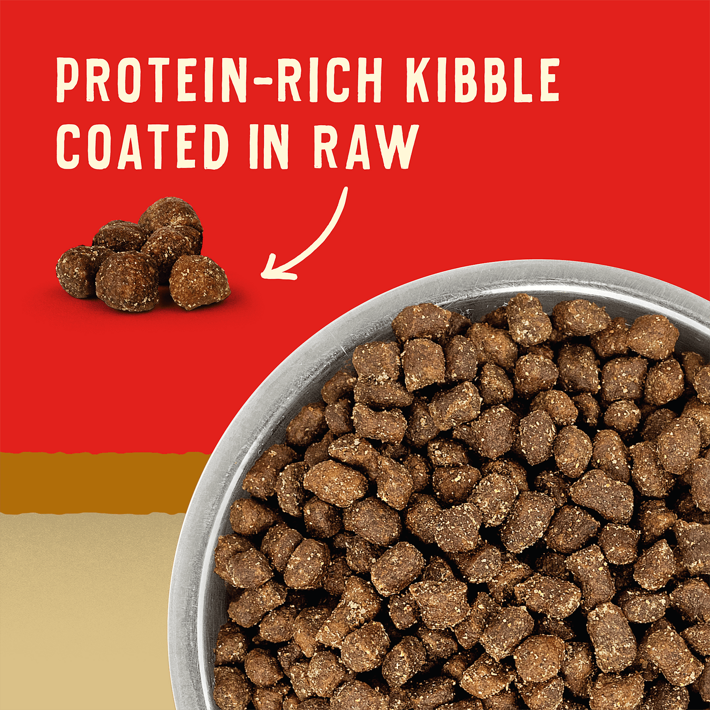 PROTEIN-RICH KIBBLE COATED IN RAW