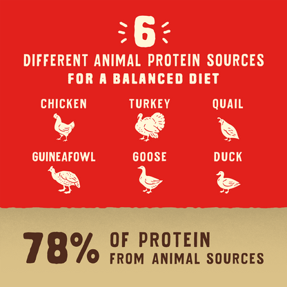 6 DIFFERENT ANIMAL PROTEIN SOURCES FOR A BALANCED DIET | CHICKEN | TURKEY | QUAIL | GUINEAFOWL | GOOSE | DUCK | 78% OF PROTEIN FROM ANIMAL SOURCES