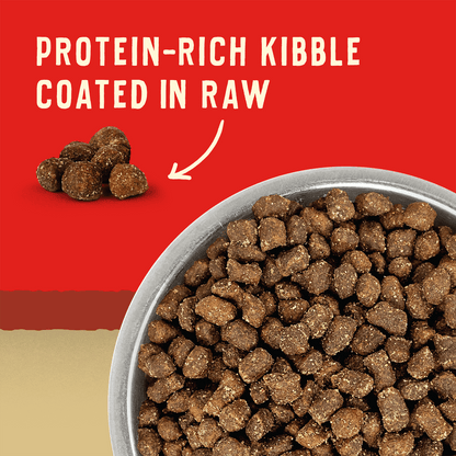 PROTEIN-RICH KIBBLE COATED IN RAW