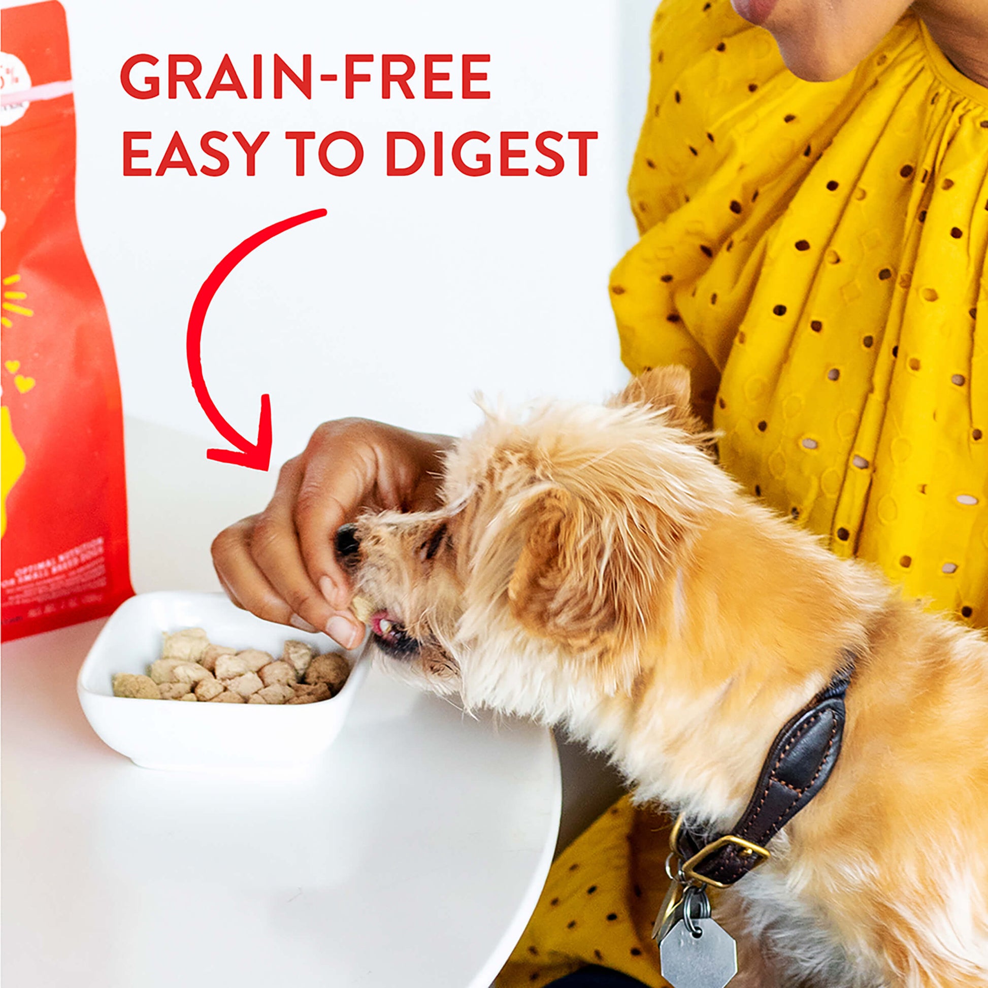 GRAIN-FREE, EASY TO DIGEST