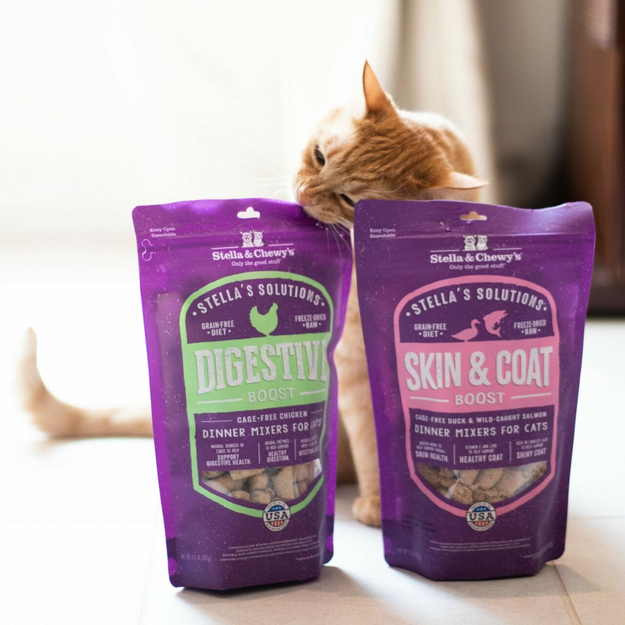 cat with Stella's Solutions Skin and Coat Boost and Digestive Boost