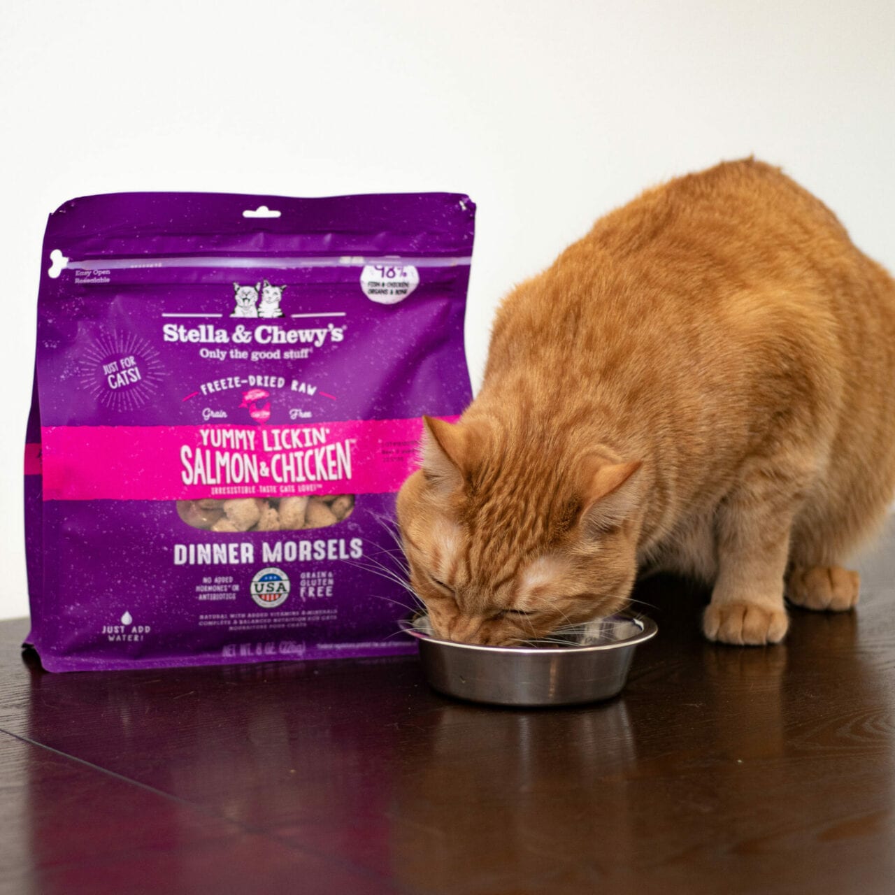 orange tabby enjoying Yummy Lickin' Salmon and Chicken Freeze-dried Raw Dinner Morsels