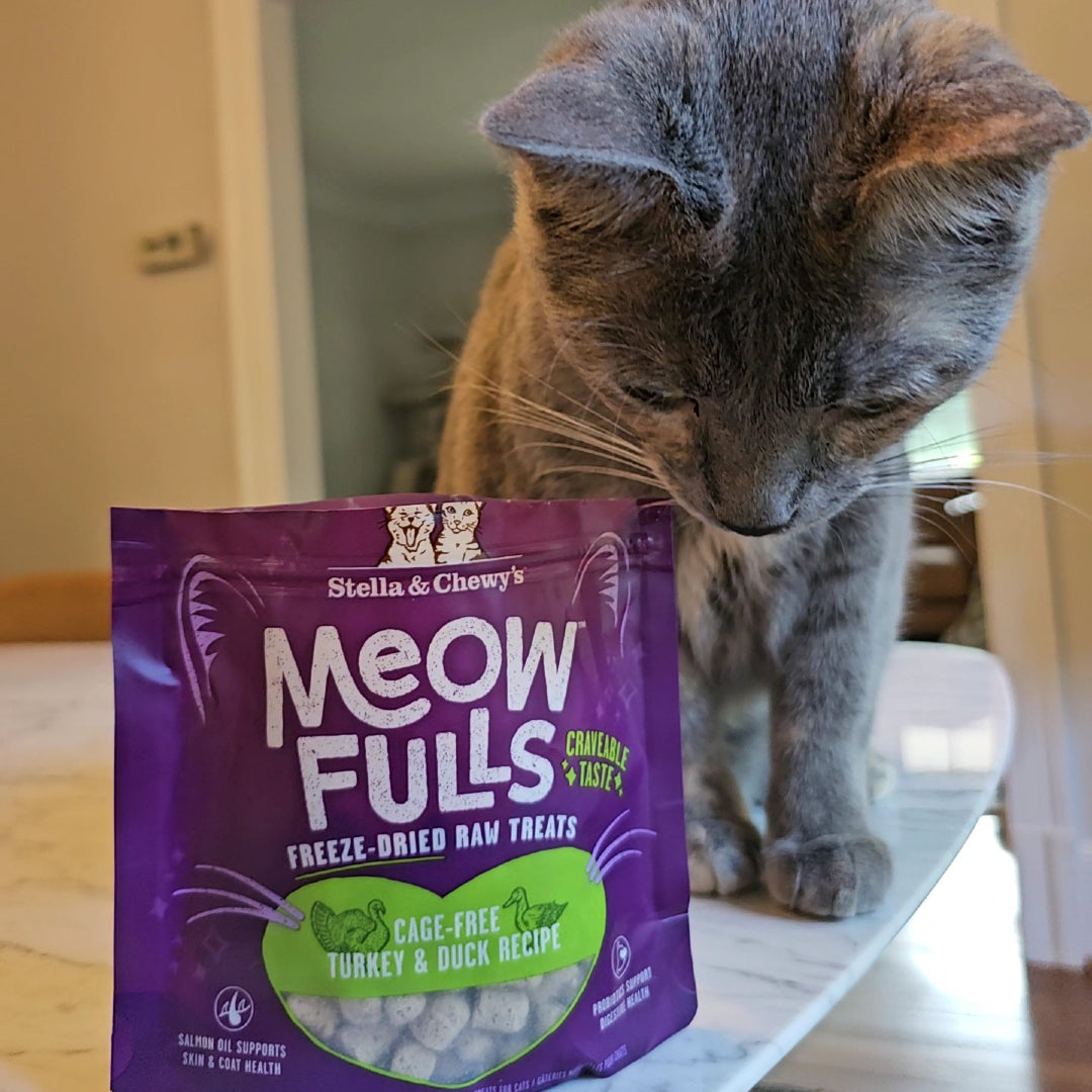 Homemade low protein shops cat food