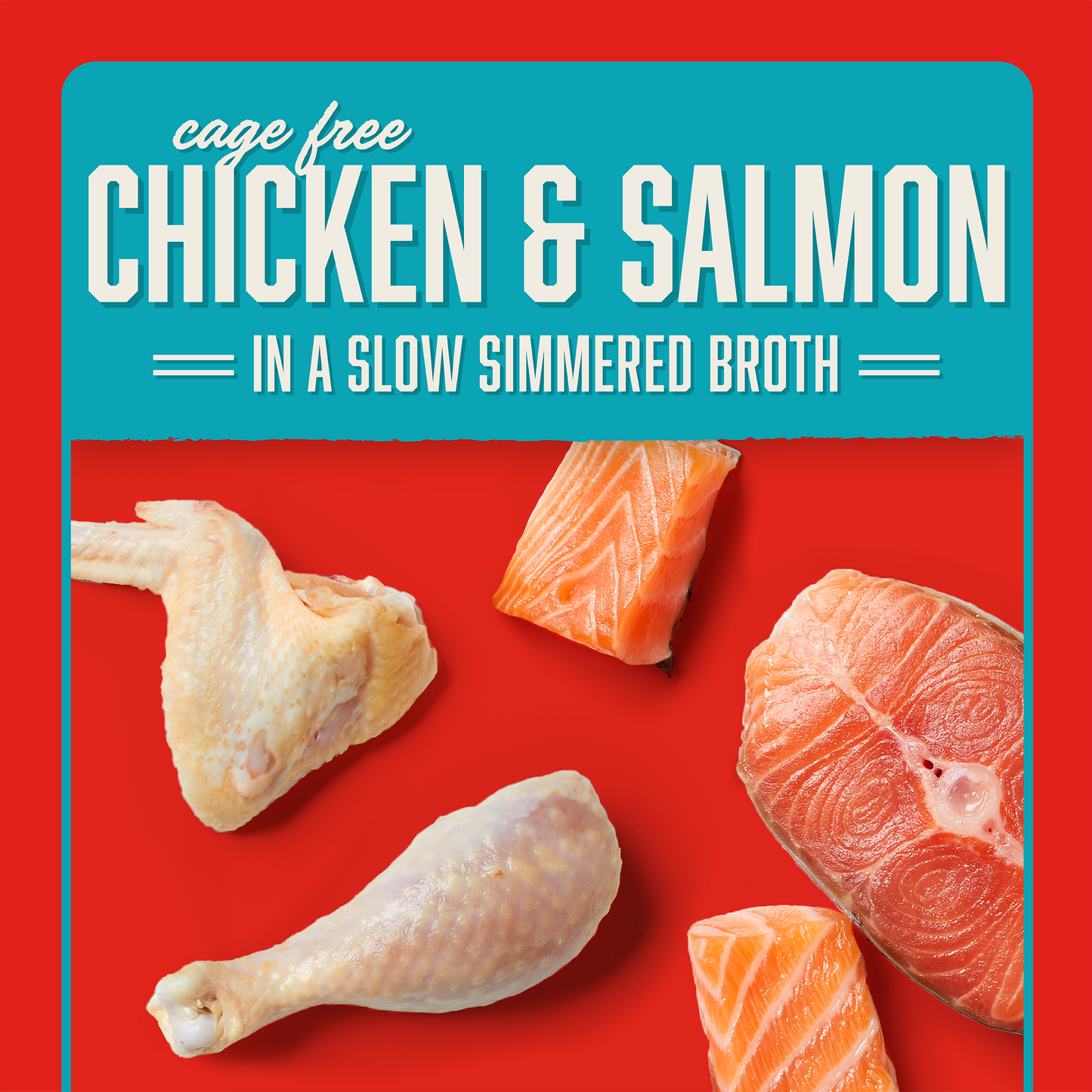 Stella's Shredrs Chicken & Salmon Recipe in Broth