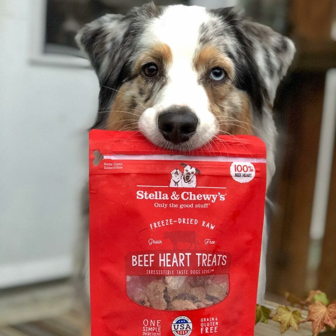 dog holding a bag of Beef Heart Treats