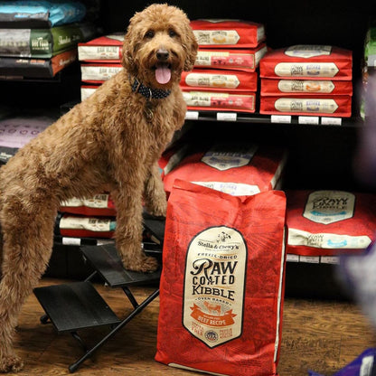 dog on a step ladder in front of bags of Raw Coated Kibble