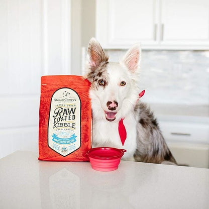 dog with Whitefish Raw Blend Kibble