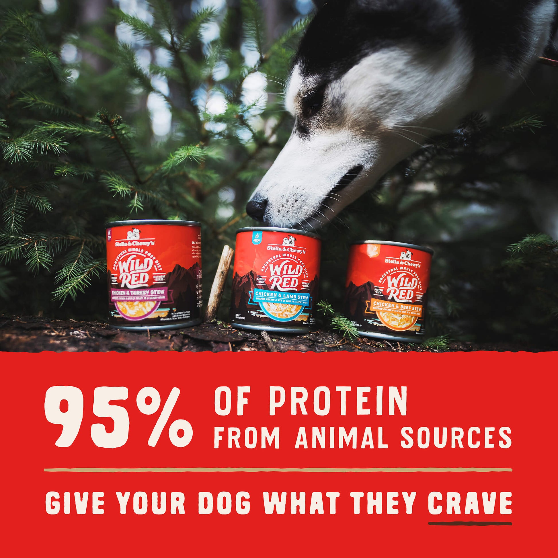 95% OF PROTEIN FROM ANIMAL SOURCES | GIVE YOUR DOG WHAT THEY CRAVE