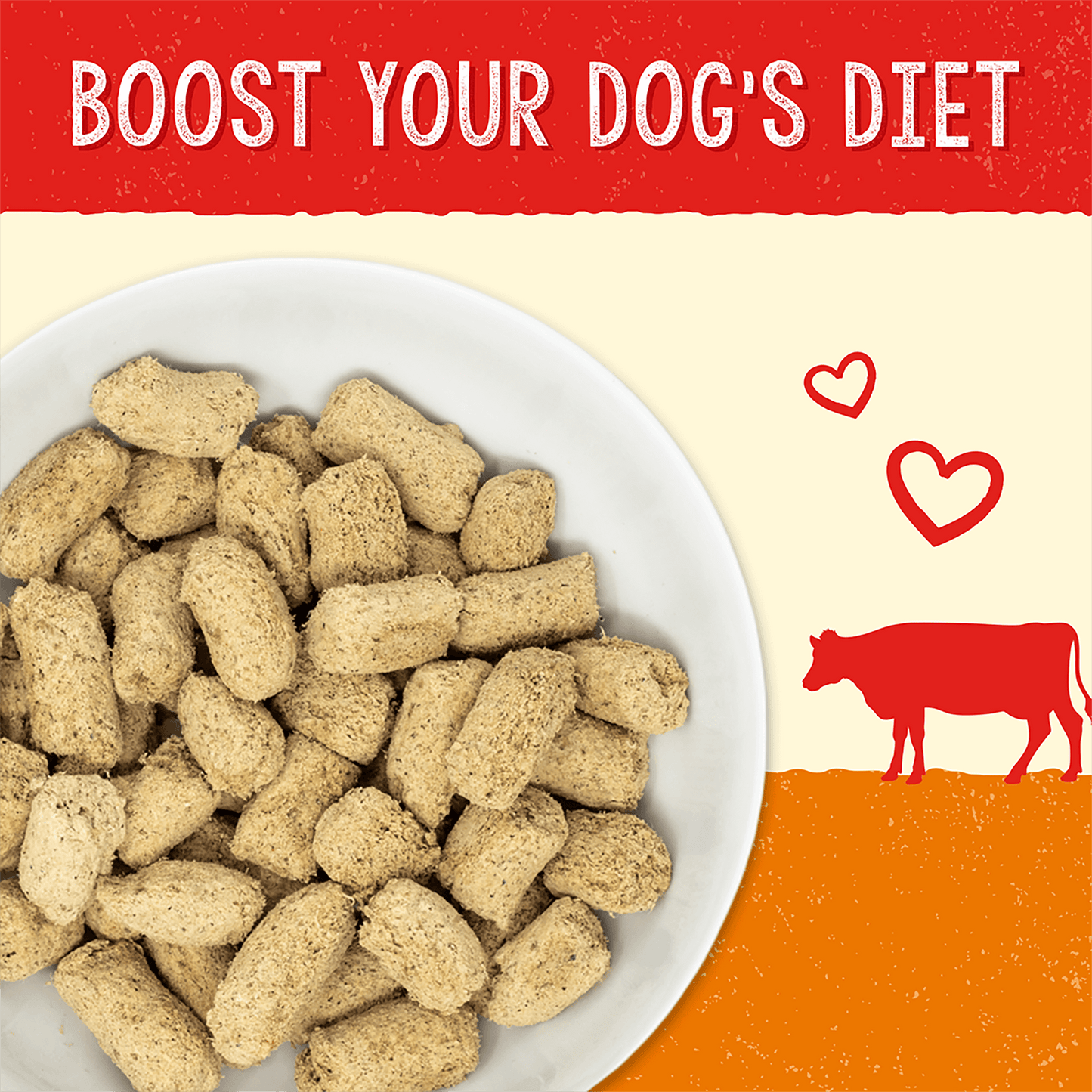 BOOST YOUR DOG'S DIET