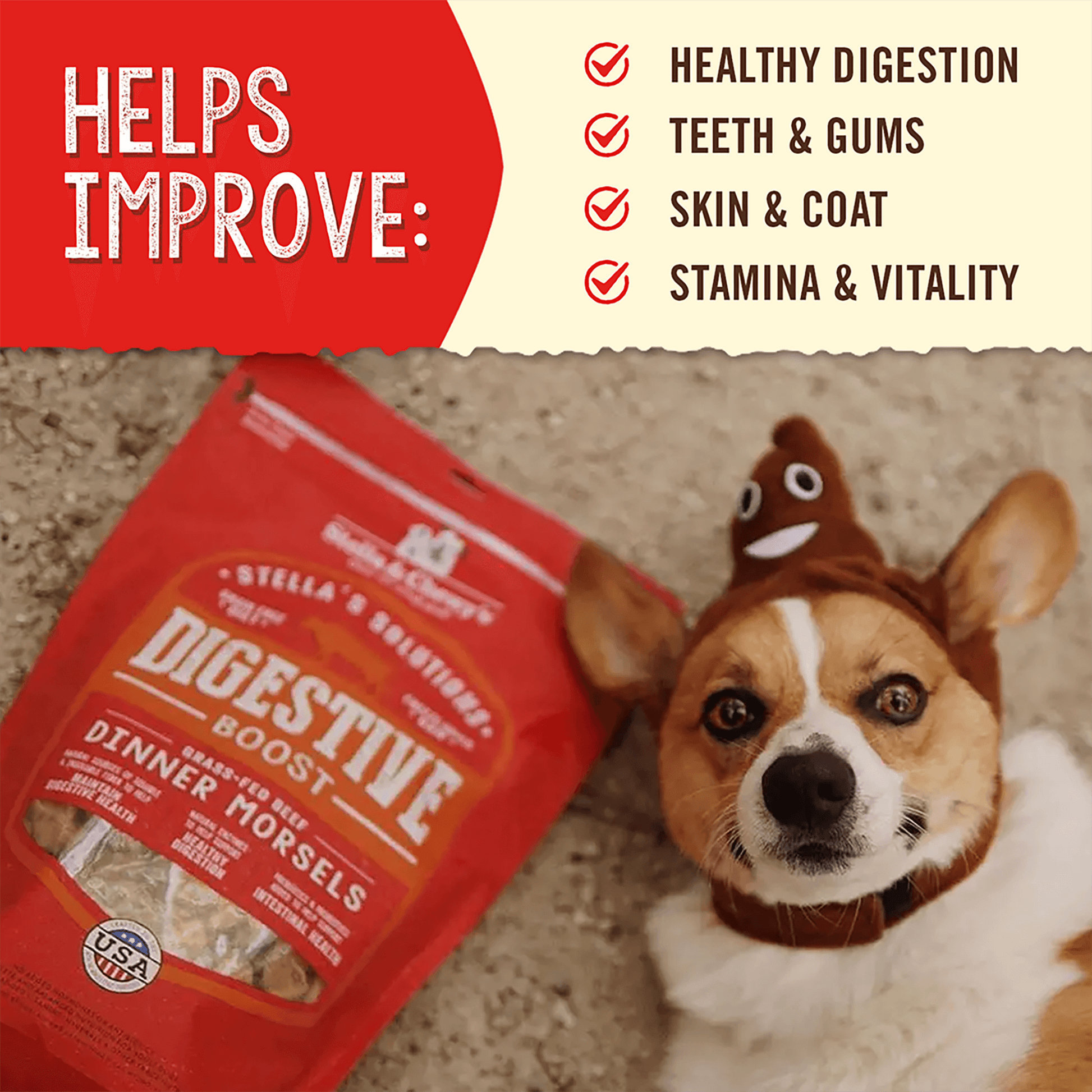 Healthy morsels dog food best sale