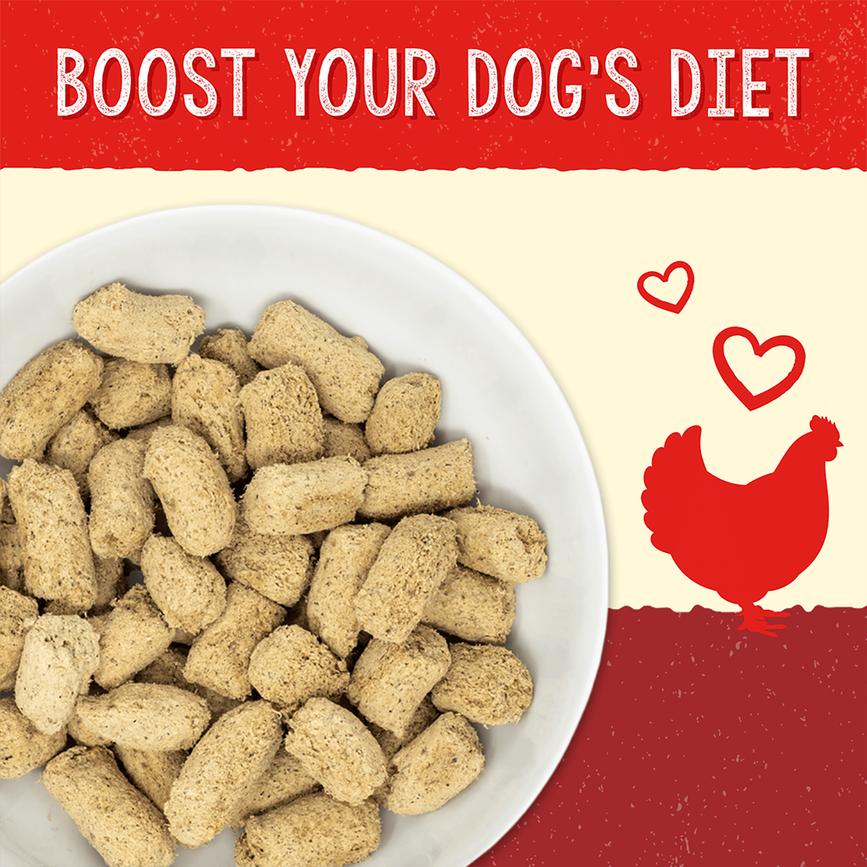 BOOST YOUR DOG'S DIET