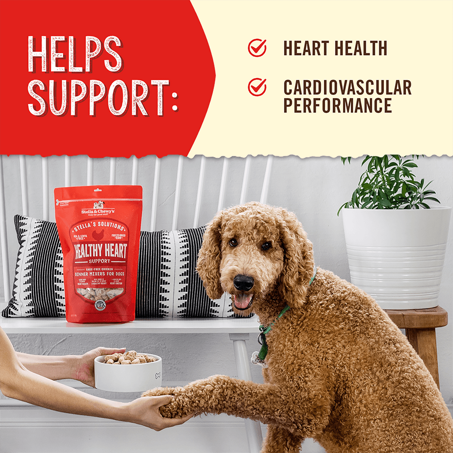 HELPS SUPPORT: | HEART HEALTH | CARDIOVASCULAR PERFORMANCE