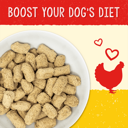 BOOST YOUR DOG'S DIET