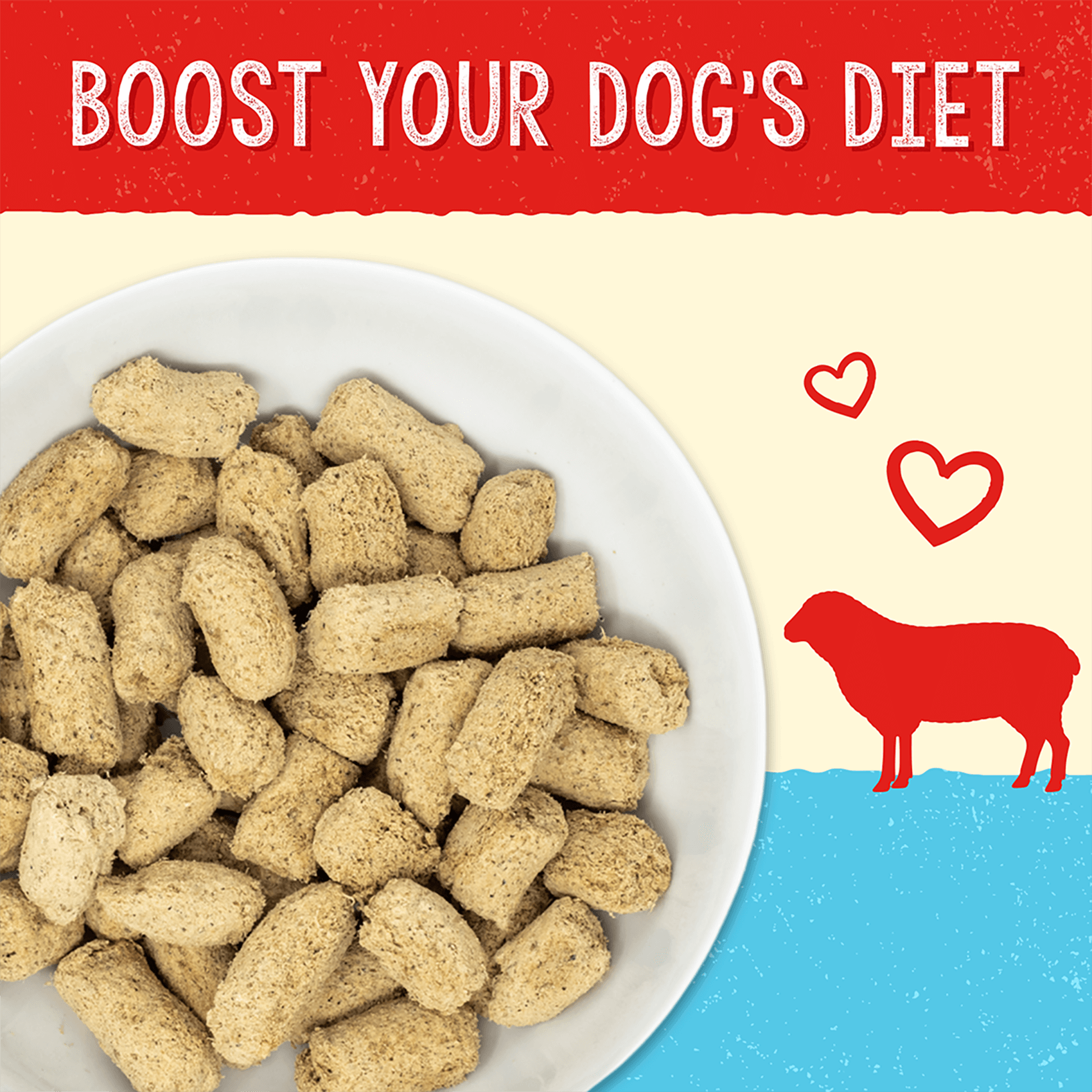 BOOST YOUR DOG'S DIET