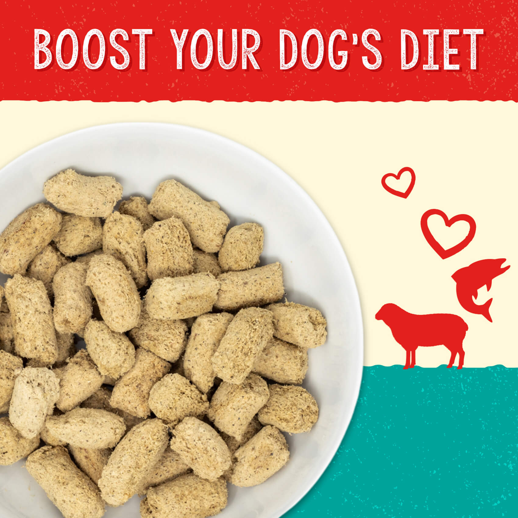 BOOST YOUR DOG'S DIET