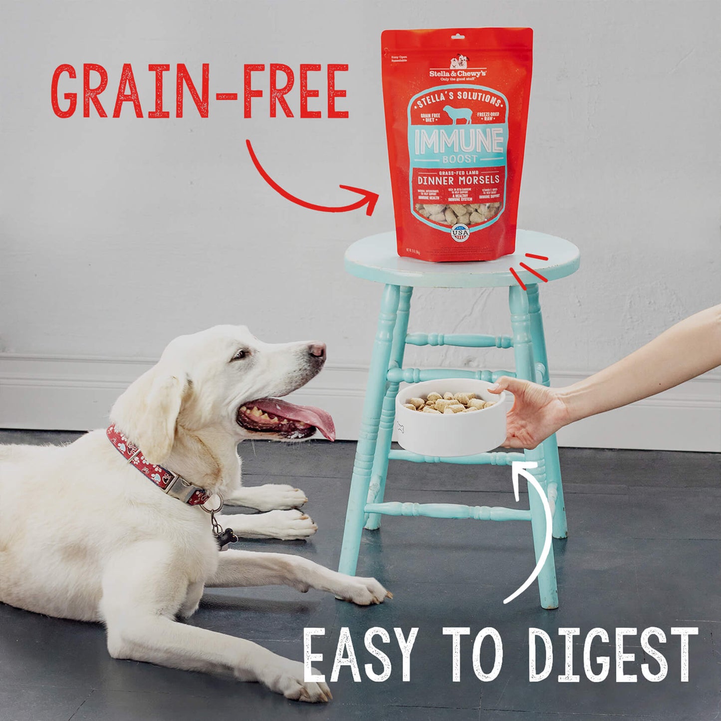 GRAIN-FREE | EASY TO DIGEST