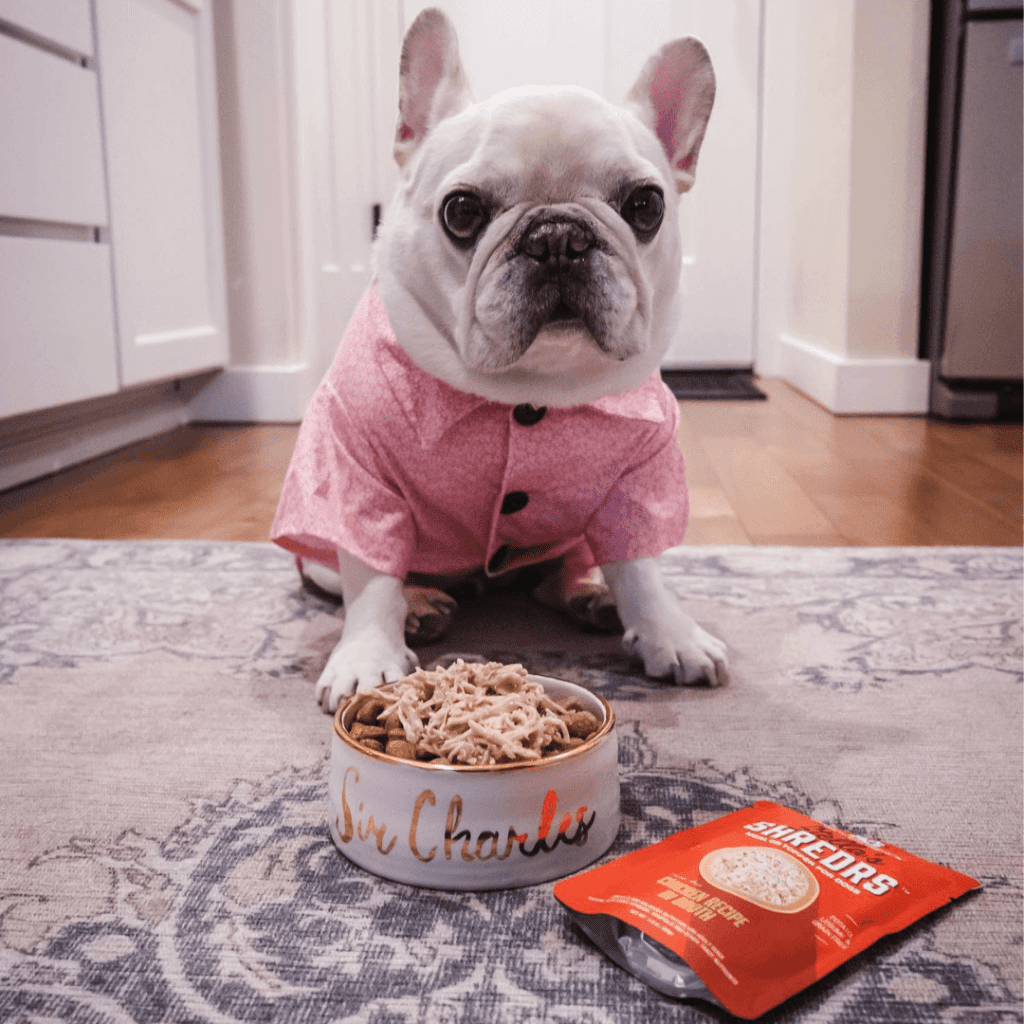 white bulldog in a pink shirt with a bowl of food and bag of Stella's Shredrs