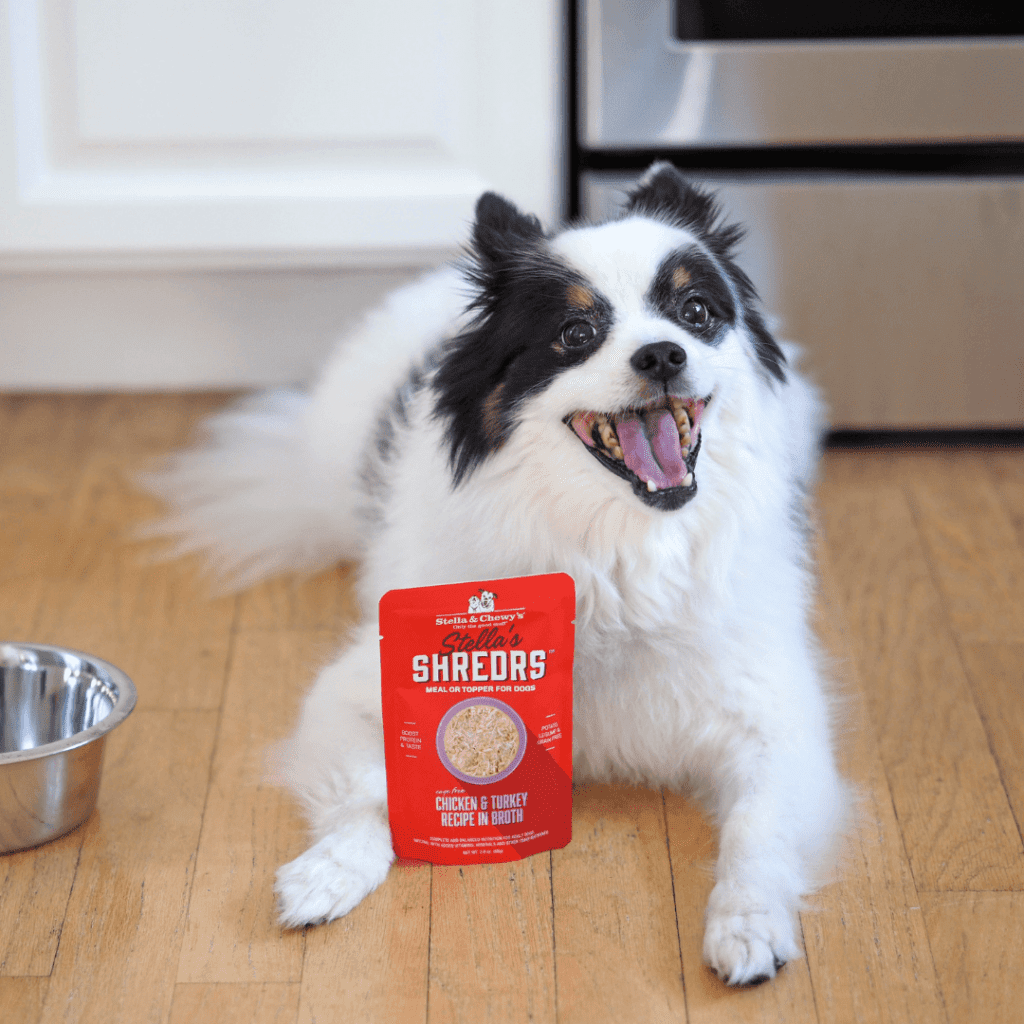 happy black and white dog posing with bag of Stella's Shredrs Chicken and Trukey Recipe