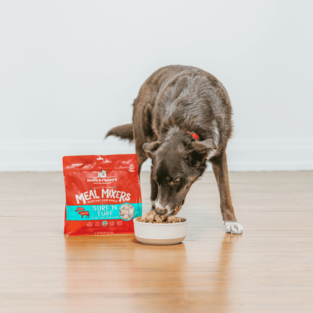 Brown dog eating a bowl of kibble topped with Surf 'N Turf Meal Mixers