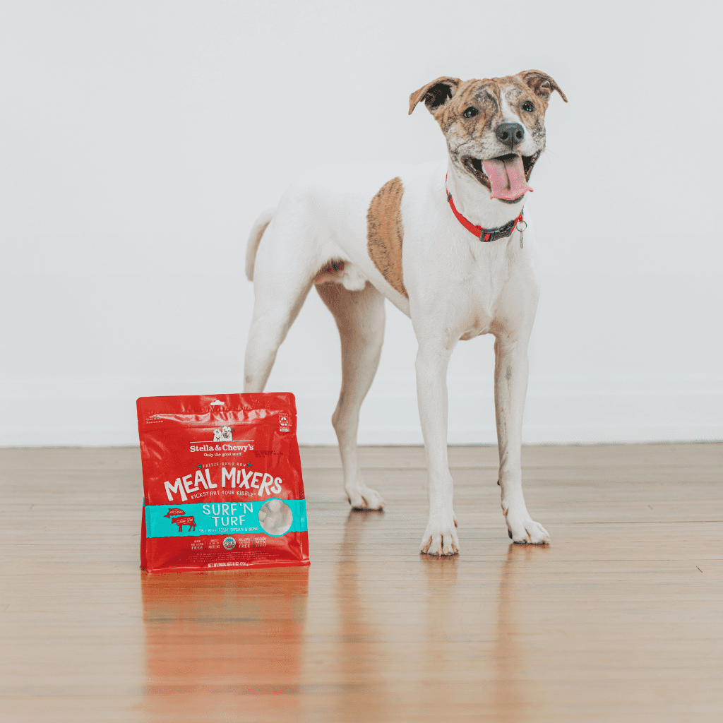 Smiling white dog next to a bag of Surf 'N Turf Meal Mixers