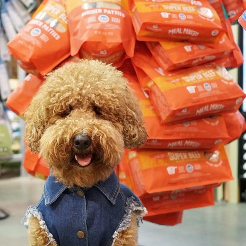 dog in jean vest posing in front of display of Stella’s Super Beef Meal Mixers