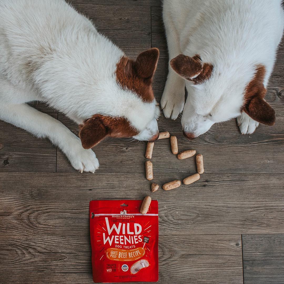 two dogs with Wild Weenie Beef Recipe