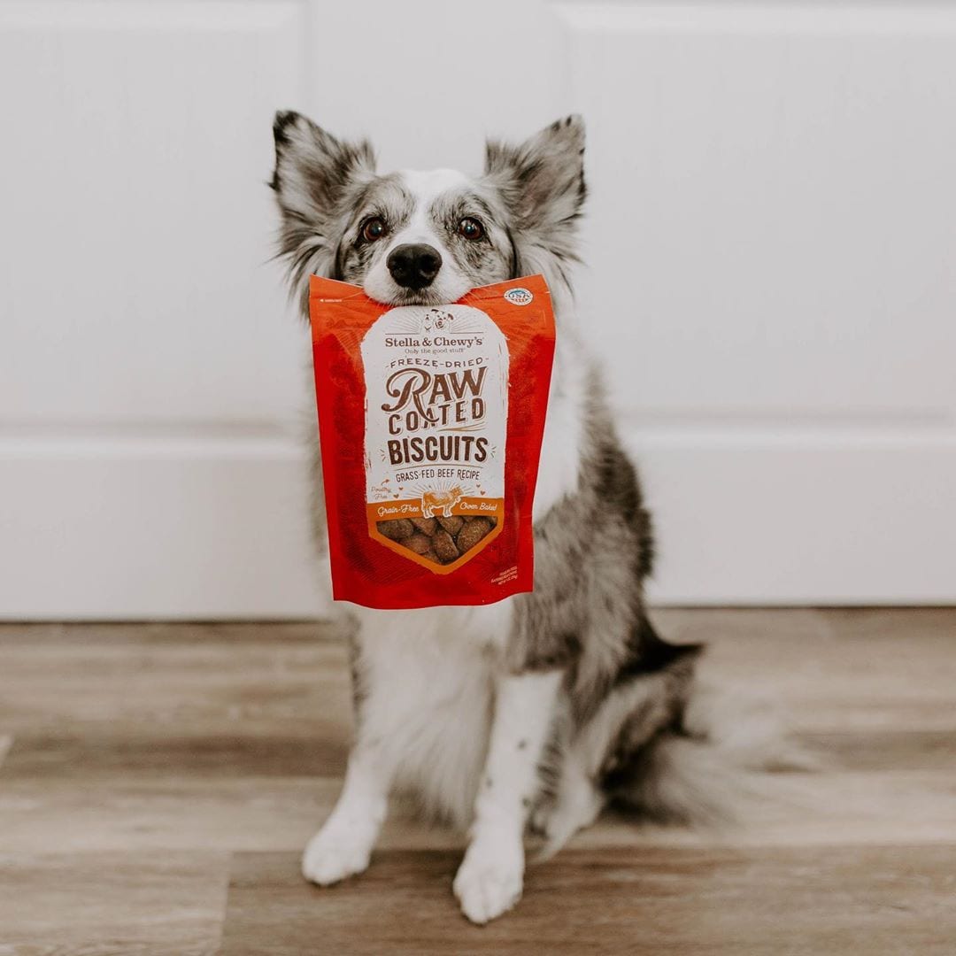 dog holding bag of Raw Coated Biscuits Beef Recipe