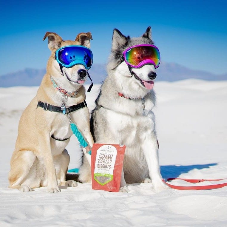 two dogs wearing ski goggles with Raw Coated Biscuits Duck Recipe