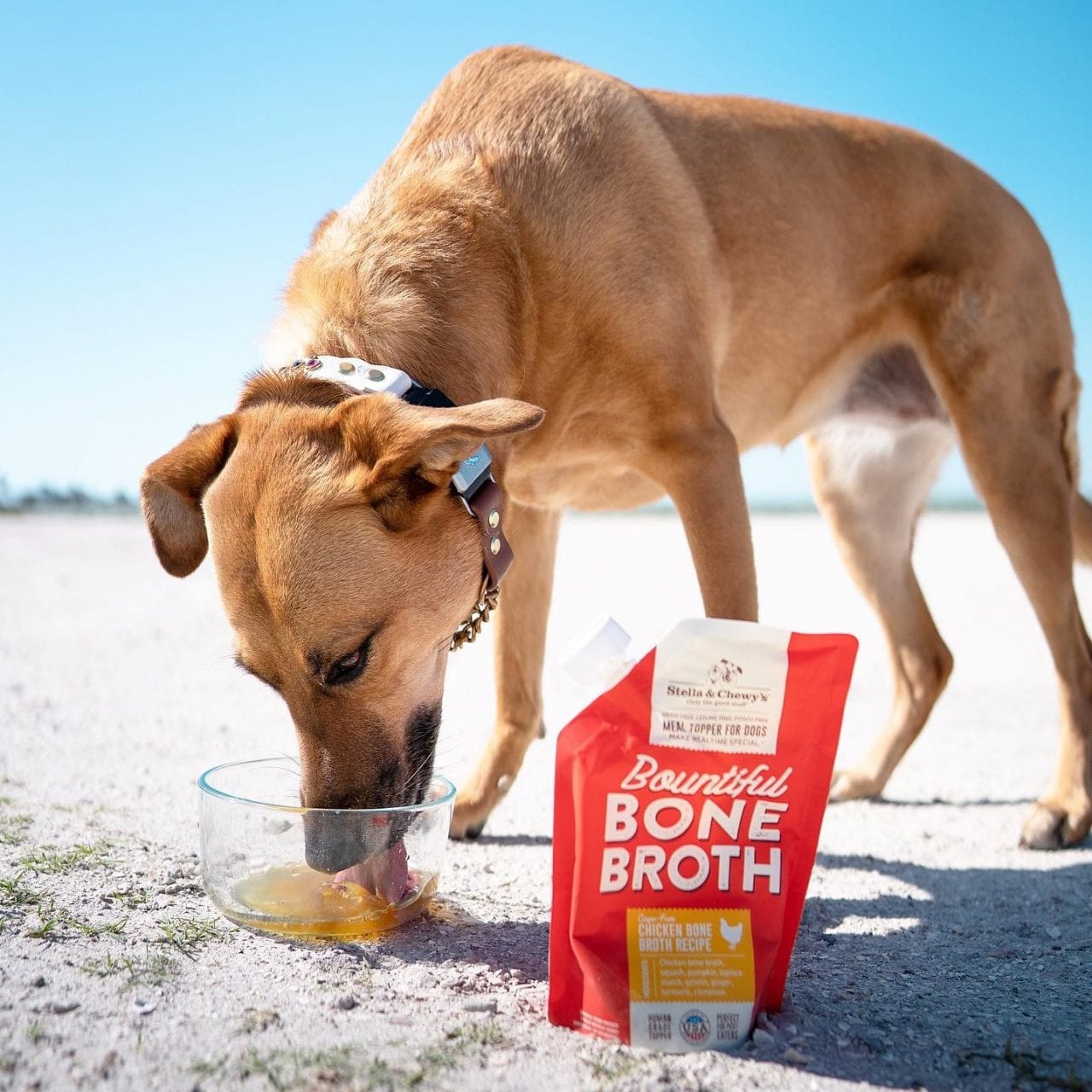 dog slurping up some Bountiful Bone Broth