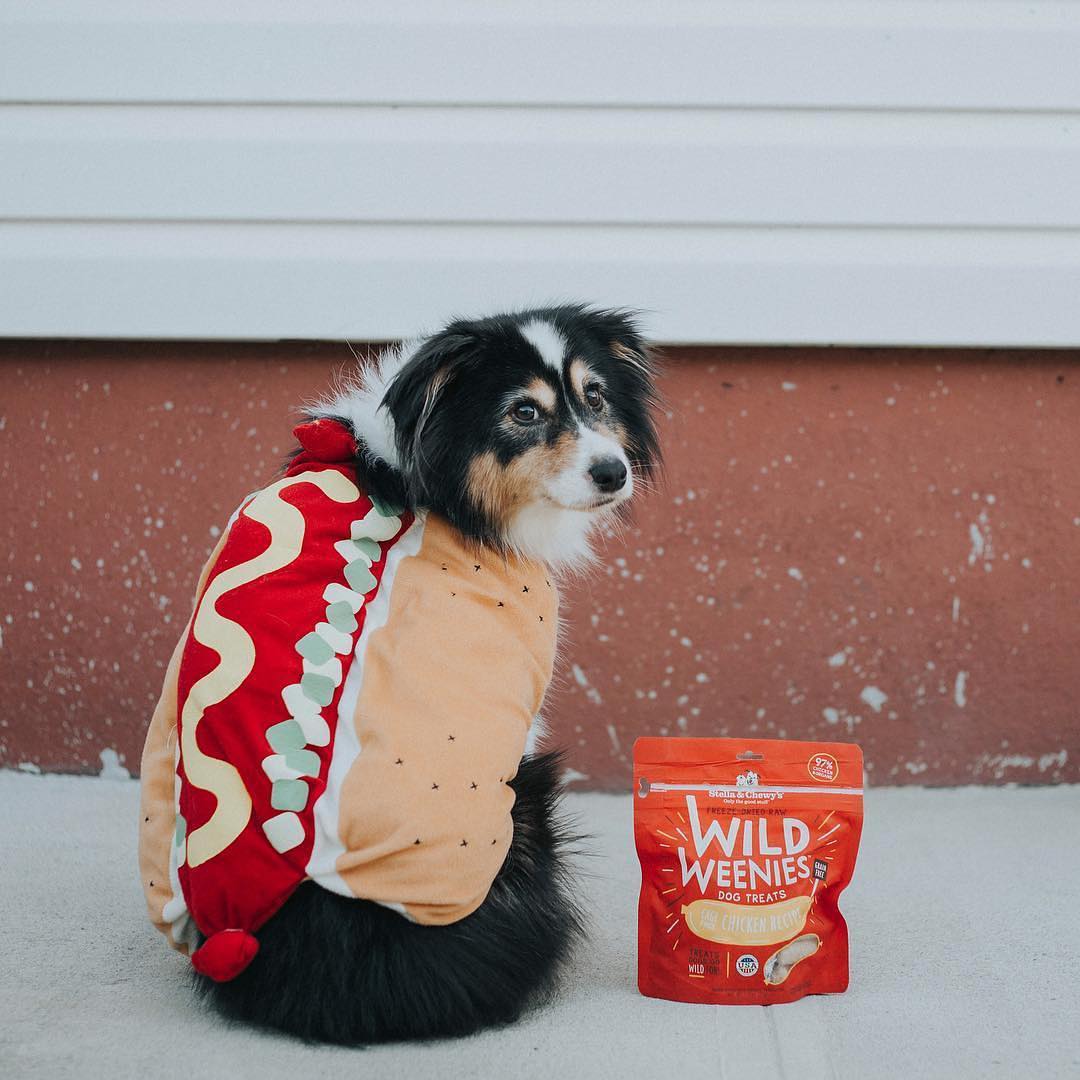 dog in hotdog costume with bag of Wild Weenie Chicken Recipe