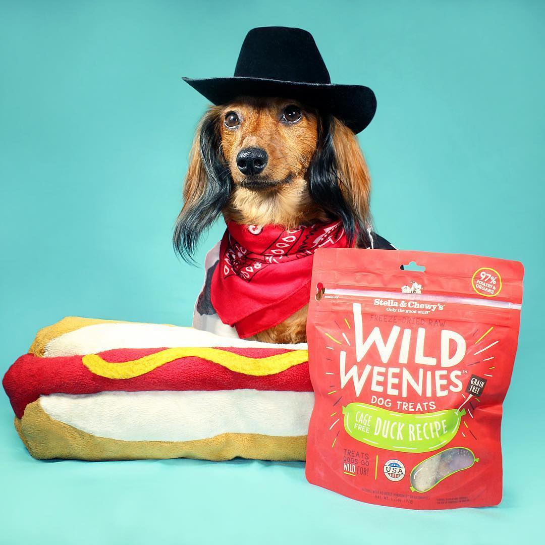 Dog in cowboy costume with hot dog stuffed toy and bag of Wild Weenie Duck Recipe