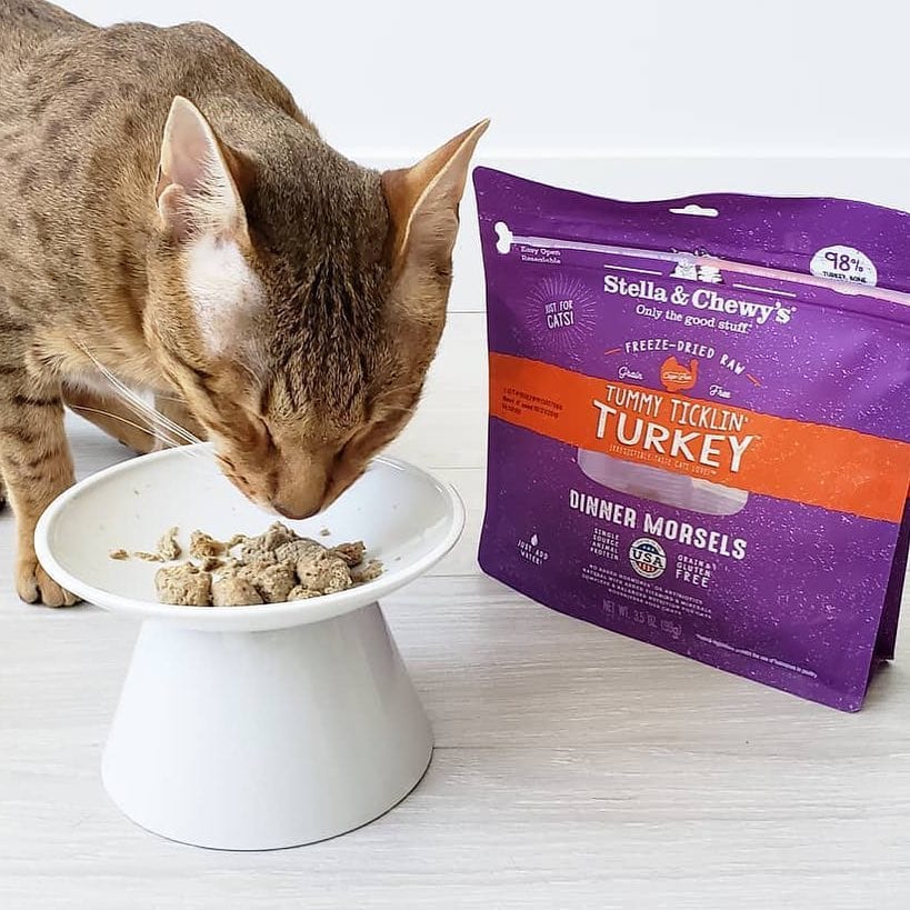 cat enjoying some Tummy Ticklin' Turkey Freeze-dried Raw Dinner Morsels