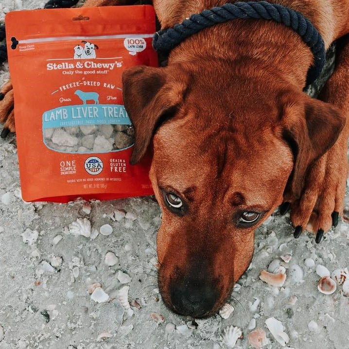 dog with Lamb Liver Treats