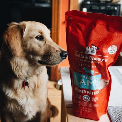 golden retriever with Dandy Lamb Frozen Raw Dinner Patties