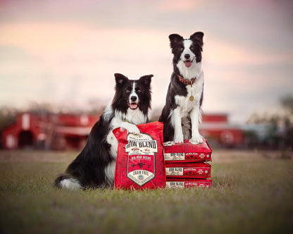 two border collies with bags of Red Meat Raw Blend Kibble