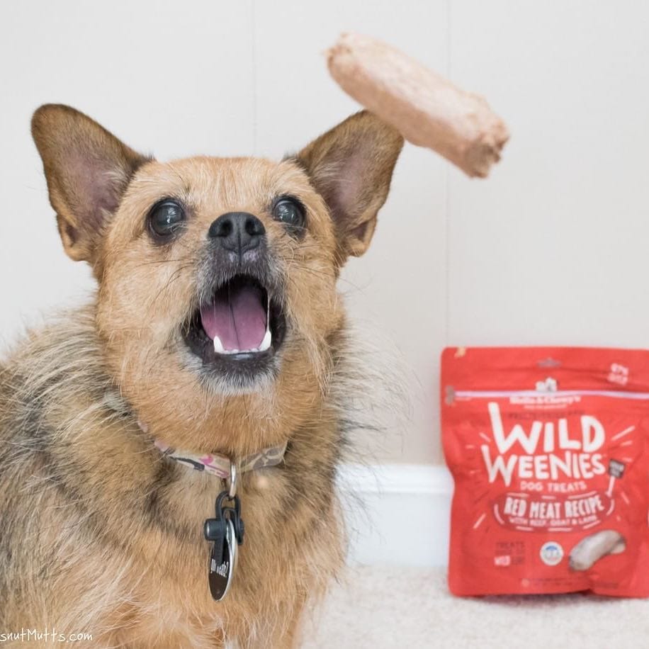 dog abou to catch a Wild Weenie treat with bag of Wild Weenie Red Meat Recipe