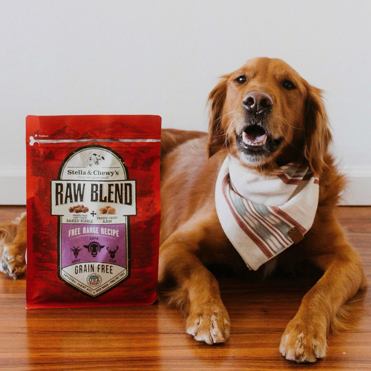 golden retriever with bag of Free Range Raw Blend Kibble