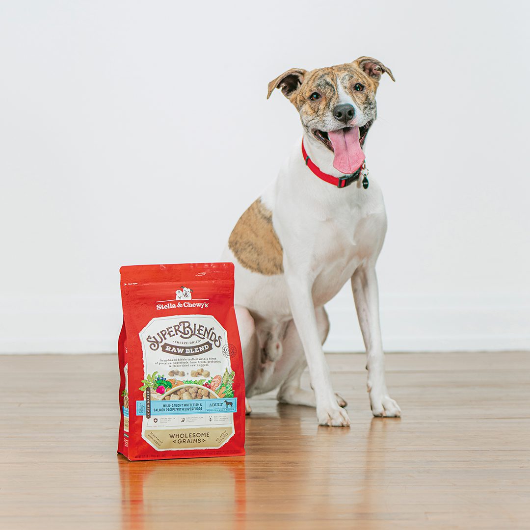 Smiling white and tan dog next to a bag of SuperBlends Raw Blend Kibble Wild Caught Whitefish & Salmon Recipe