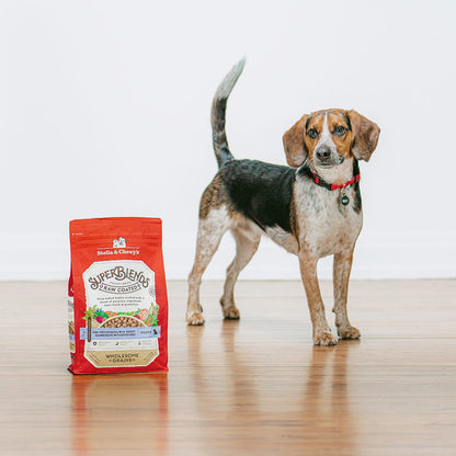 Tri-colored puppy with his tail straight up standing next to a bag of SuperBlends Raw Coated Puppy Kibble with Cage-Free Chicken & Wild-Caught Salmon