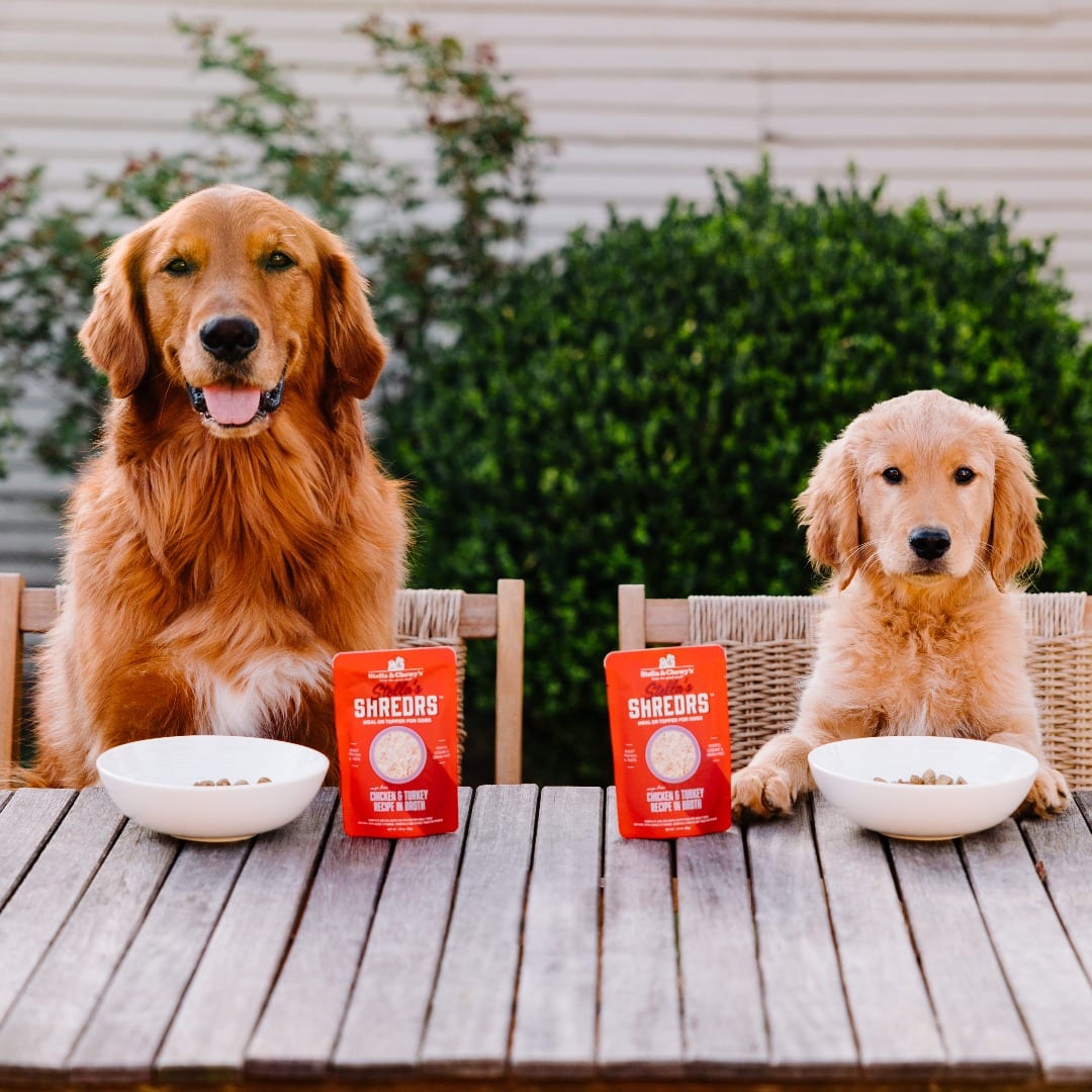 two golden retrievers sitting at an outdoor table with bags of Stella's Shredrs