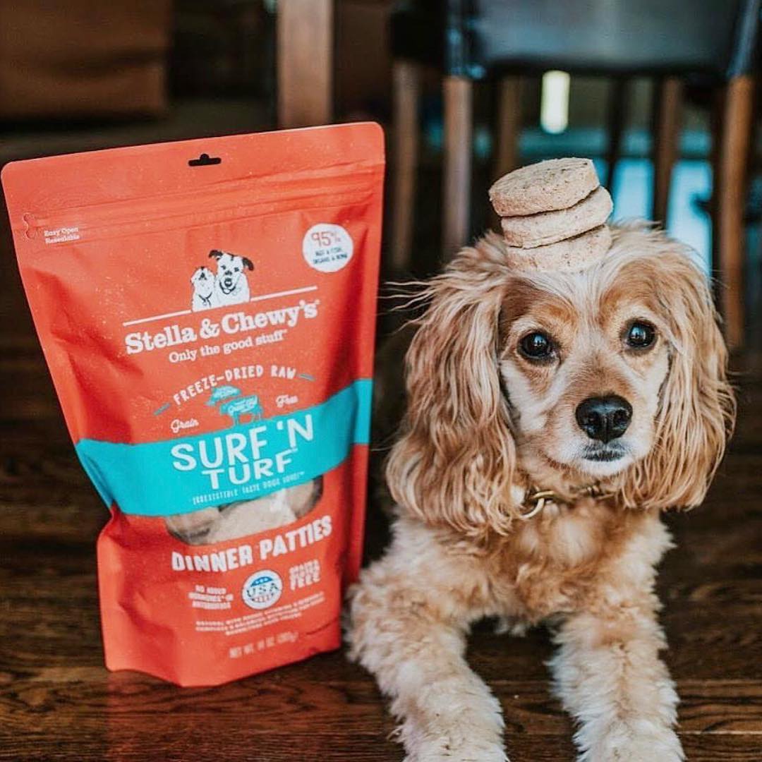 Dog with dinner patties balanced on his head with bag of Surf ‘N Turf Freeze-Dried Raw Dinner Patties