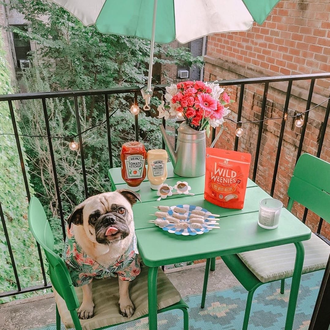 dog sitting at a green outdoor table with bag of Wild Weenie Beef Recipe