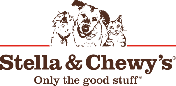 Kitten | Stella & Chewy's