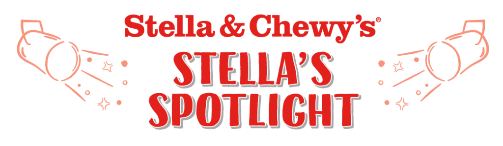 Graphic with words Stella & Chewy's Stella's Spotlight and illustrations of spotlights