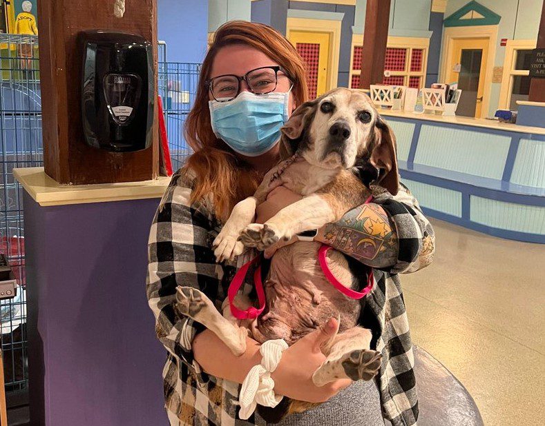 woman wearing mask holding dog inside an animal shelter
