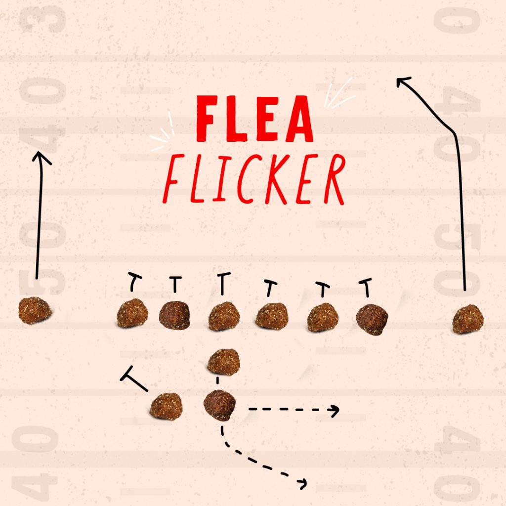Flea Flicker Football Play