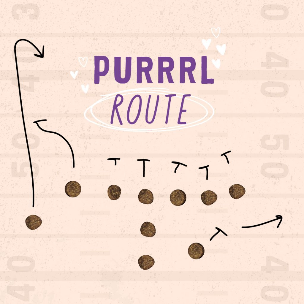 Purrrl Route Football Play